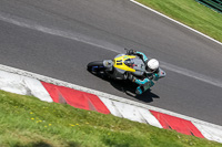 cadwell-no-limits-trackday;cadwell-park;cadwell-park-photographs;cadwell-trackday-photographs;enduro-digital-images;event-digital-images;eventdigitalimages;no-limits-trackdays;peter-wileman-photography;racing-digital-images;trackday-digital-images;trackday-photos